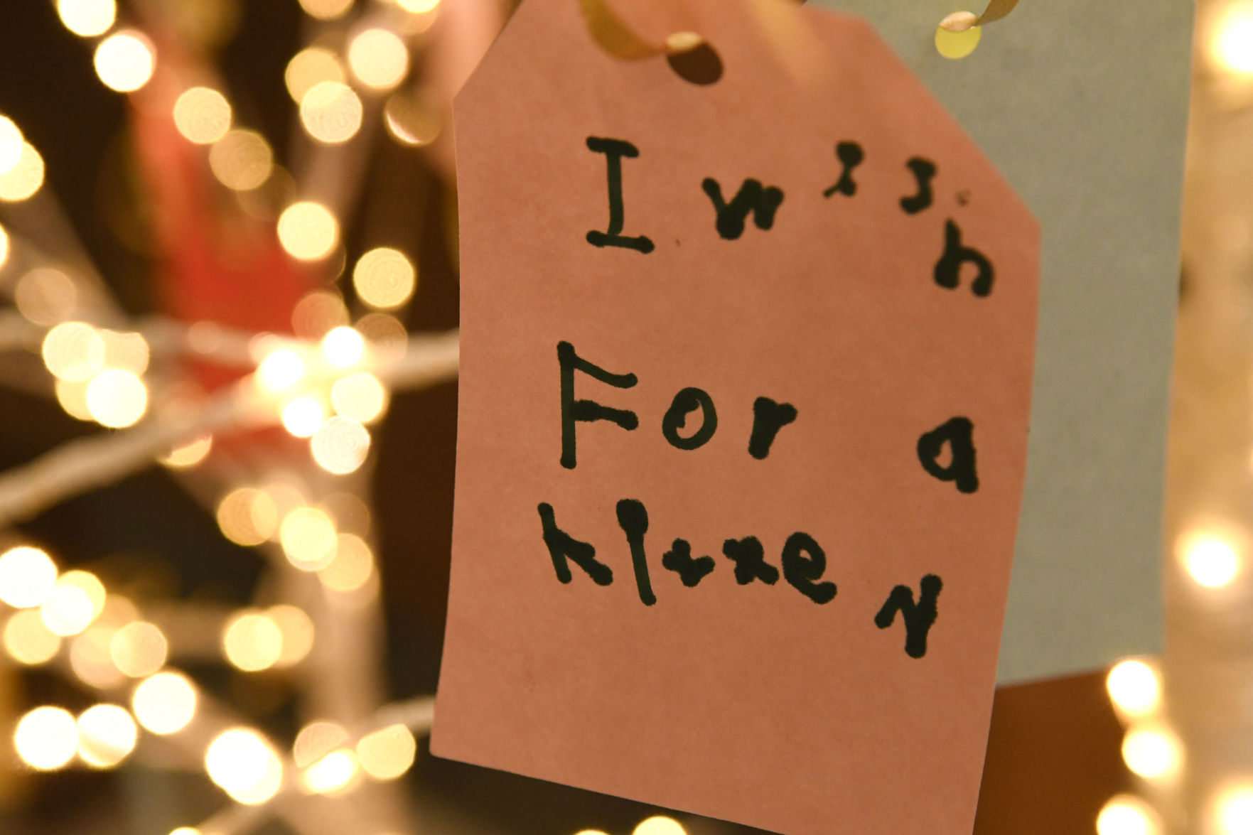 120219 Wishing trees 10.jpg
